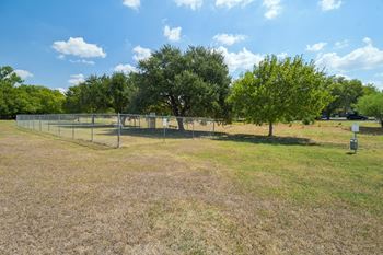 A fenced field with trees and a mailbox.